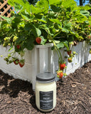 Fresh Strawberry - Scented Soy Wax Candles | Mason Jar